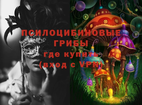 меф Богородицк