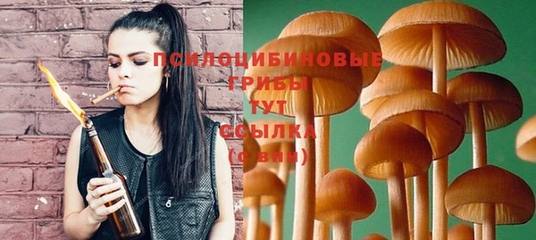 спиды Богданович