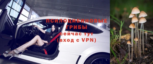 твердый Богородск