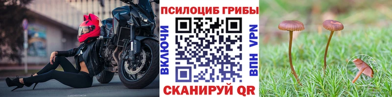 Галлюциногенные грибы GOLDEN TEACHER  Дмитровск 